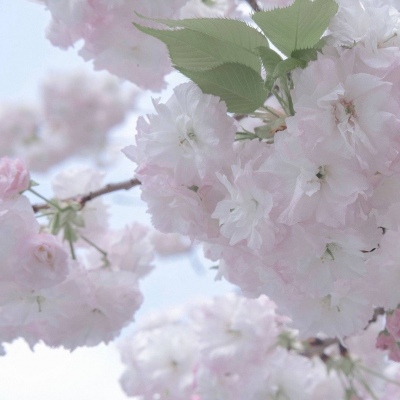 兽设星空场景创作Furry群